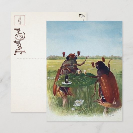 Briefkaart  ruggengraat (Voorkant / Achterkant)