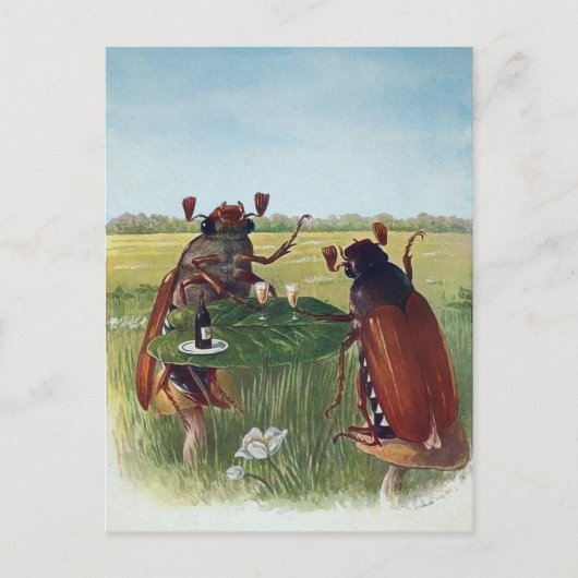 Briefkaart  ruggengraat (Voorkant)