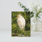 Briefkaart Rundveetprofiel (Staand voorkant)