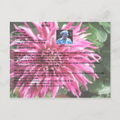 Briefkaart Rusks Recipe (Voorkant)