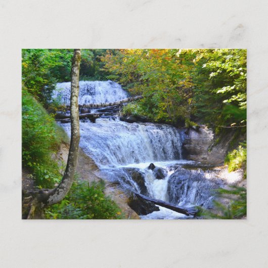 Briefkaart/Sable Herfsten Michigan Briefkaart (Voorkant)