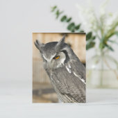 Briefkaart SACHOwl Portret (Staand voorkant)