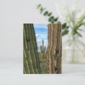Briefkaart Saguaro Cactus (Staand voorkant)