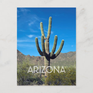 Briefkaart Saguaro Cactus