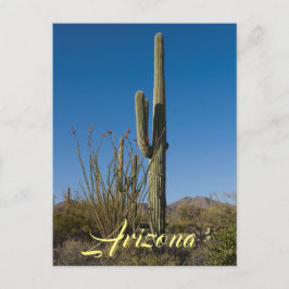 Briefkaart Saguaro Cactus
