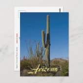 Briefkaart Saguaro Cactus (Voorkant / Achterkant)