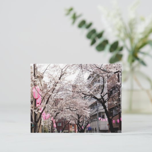 Briefkaart Sakura in de Tokyo Cherry Blossom, Japa (Staand voorkant)