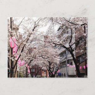 Briefkaart Sakura in de Tokyo Cherry Blossom, Japa