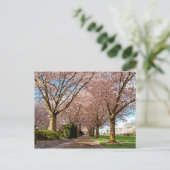 Briefkaart Salem Cherry Blossom & Squirrel Oregon (Staand voorkant)