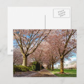 Briefkaart Salem Cherry Blossom & Squirrel Oregon (Voorkant / Achterkant)