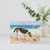 briefkaart "Sally & The Crab" (Staand voorkant)