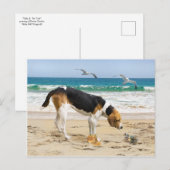 briefkaart "Sally & The Crab" (Voorkant / Achterkant)