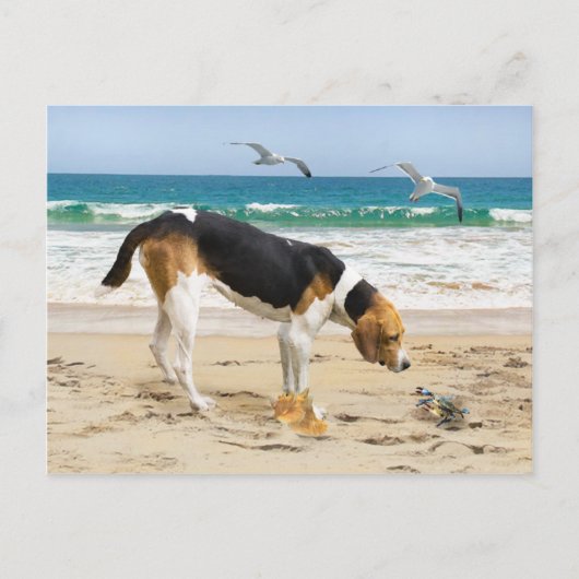 briefkaart "Sally & The Crab" (Voorkant)