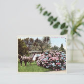  Briefkaart San Diego, Victoriaans tijdperk (Staand voorkant)