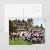  Briefkaart San Diego, Victoriaans tijdperk (Voorkant / Achterkant)