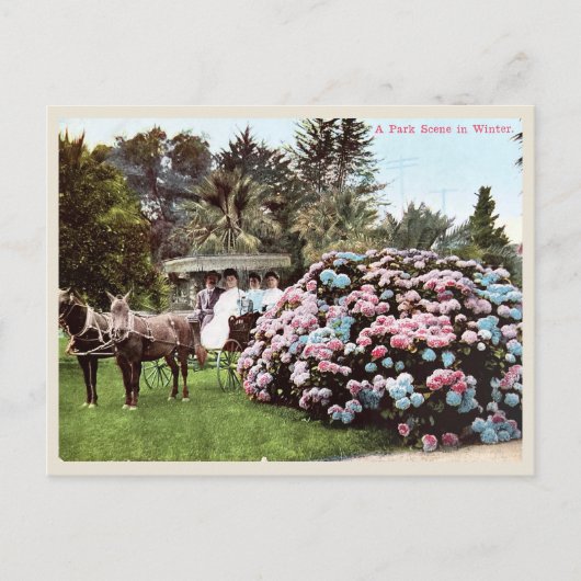  Briefkaart San Diego, Victoriaans tijdperk (Voorkant)