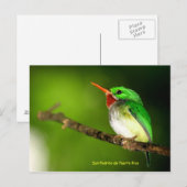 Briefkaart San Pedrito de Puerto Rico (Voorkant / Achterkant)