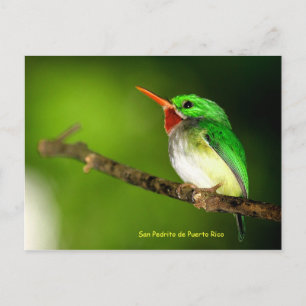 Briefkaart San Pedrito de Puerto Rico