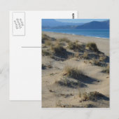 Briefkaart Sand Dunes (Voorkant / Achterkant)