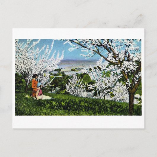  Briefkaart Santa Clara Valley (Voorkant)