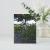 Briefkaart, Scarecrow bij Peachy Canyon Winery Briefkaart (Staand voorkant)