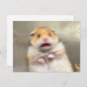 Briefkaart Scared Hamster Meme (Voorkant / Achterkant)