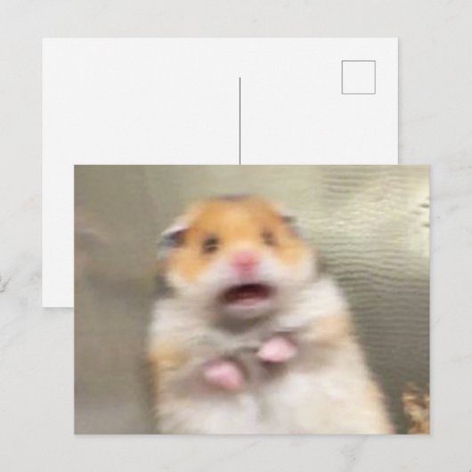 Briefkaart Scared Hamster Meme (Voorkant / Achterkant)