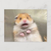 Briefkaart Scared Hamster Meme (Voorkant)