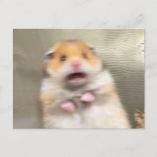 Briefkaart Scared Hamster Meme (Voorkant)