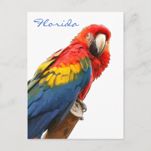 Briefkaart Scarlet Macaw Florda