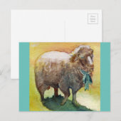 Briefkaart schapen (Voorkant / Achterkant)