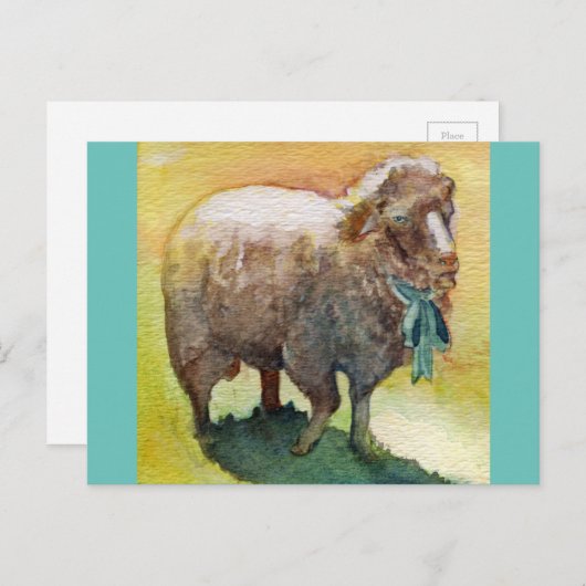 Briefkaart schapen (Voorkant / Achterkant)