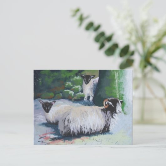 Briefkaart schapenhouders (Staand voorkant)