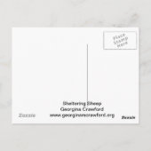 Briefkaart schapenhouders (Achterkant)