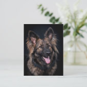 Briefkaart schattig Duits Shepherd Dog Alsatian (Staand voorkant)