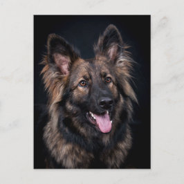Briefkaart schattig Duits Shepherd Dog Alsatian