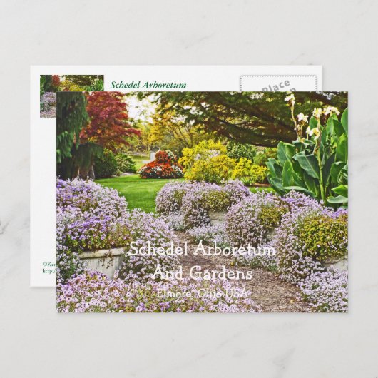 briefkaart, Schedel Arboretum en tuinen Briefkaart (Voorkant / Achterkant)