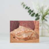 Briefkaart schelpen 619 (Staand voorkant)