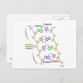 Briefkaart Schema van de chemische structuur van D (Voorkant / Achterkant)