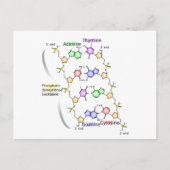 Briefkaart Schema van de chemische structuur van D (Voorkant)