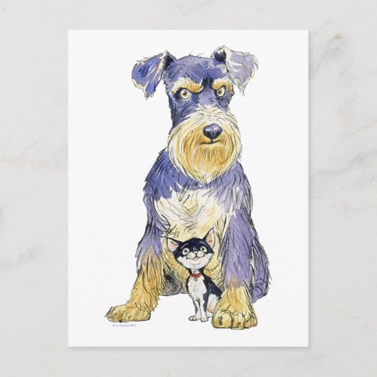 Briefkaart Schnauzer en Kitten (Voorkant)