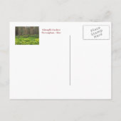 BRIEFKAART SCHOEPFLE GARDEN (OHIO) (Achterkant)