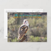 Briefkaart: Schuuruil #1 (Landscape) Briefkaart (Voorkant / Achterkant)