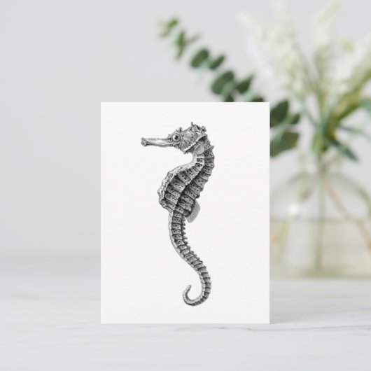 briefkaart "SEAHORSE" (Staand voorkant)