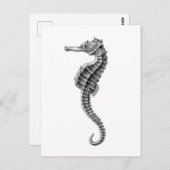 briefkaart "SEAHORSE" (Voorkant / Achterkant)