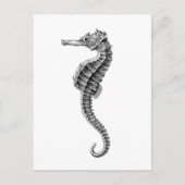 briefkaart "SEAHORSE" (Voorkant)