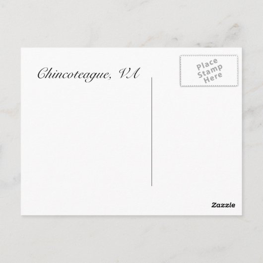 Briefkaart Seashell (Achterkant)