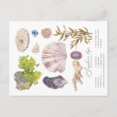 Briefkaart Seashore (Voorkant)