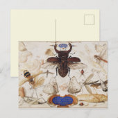 Briefkaart  sectie illustratie (Voorkant / Achterkant)