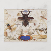 Briefkaart  sectie illustratie (Voorkant)